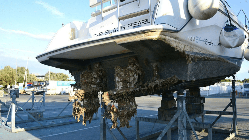 Why Antifouling is Essential for Boat Maintenance GC Antifouling